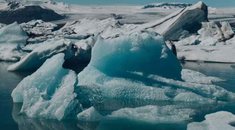 Zdjęcie ilustracyjne. Fot. Freepik