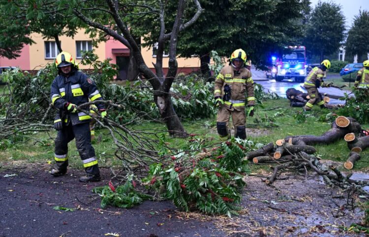 Gwałtowne burze na Podkarpaciu. Kilka osób rannych. Na miejsce jedzie zastępca szefa PSP 9 Strażacy usuwają zniszczenia po burzy w Przemyślu, fot. PAP/Darek Delmanowicz