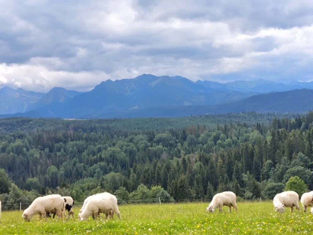 WAKACJE Z RADIOWYM REPORTAŻEM WAKACJE Z RADIOWYM REPORTAŻEM Radio Zachód - Lubuskie