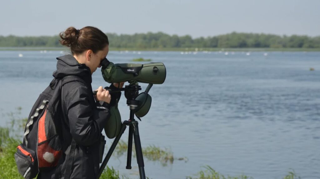 Piątki w parku narodowym fot. PNUW