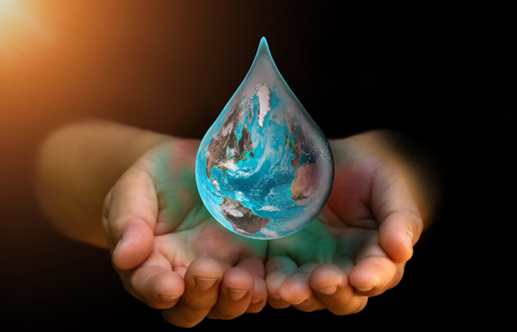 fot. ze strony mzk.witnica.pl