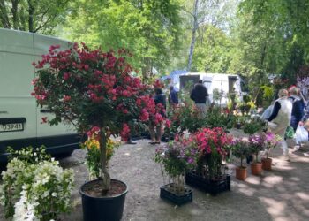 Kalsk zaprasza na targi Radio Zachód - Lubuskie