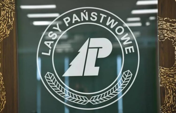 Logotyp Dyrekcji Generalnej Lasów Państwowych. Fot. PAP/Radek Pietruszka