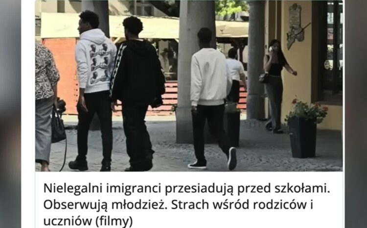 Portal "Gazeta Zielonogórska" to narzędzie do karmienia strachem - ocenia dziennikarka TVN24.pl