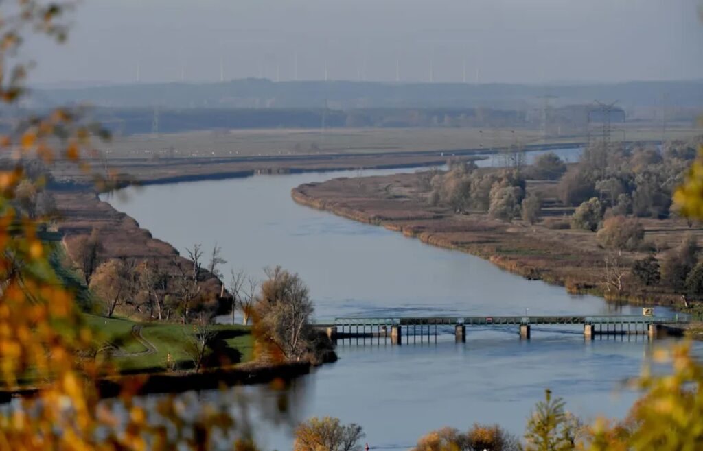 Park „Doliny Dolnej Odry” ma zająć obszar ok. 4 tys. ha. Fot. PAP/ Marcin Bielecki