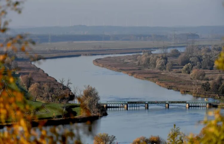 Park „Doliny Dolnej Odry” ma zająć obszar ok. 4 tys. ha. Fot. PAP/ Marcin Bielecki