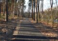 fot. UG Świdnica