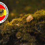 Fot. Żagańskie Stowarzyszenie Ratowania i Ochrony Zabytków/FB i Freepik