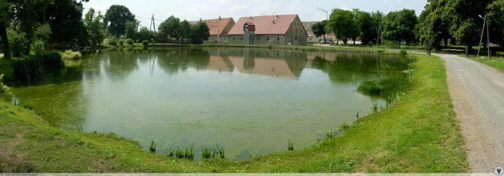 Gmina Skąpe odtwarza wiejskie stawy Staw we wsi Łukaszów (fot. ilustracyjna) fot. www.polska-org.pl