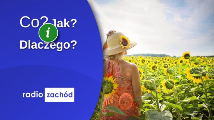 Odwiedzamy Lubrzę i Łagów Lubuski Radio Zachód - Lubuskie