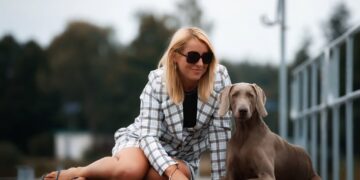 Wyżeł weimarski 17 Barbara Bielak hodowczyni wyżłów weimarskich