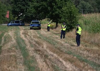 Niezidentyfikowany obiekt w Osinach. Fot. PAP/Wojtek Jargiło