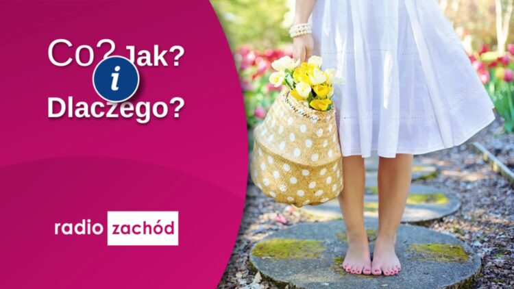 Zapraszamy na wydarzenie "Inspirujące Kobiety" 9 Zapraszamy na wydarzenie "Inspirujące Kobiety" Radio Zachód - Lubuskie