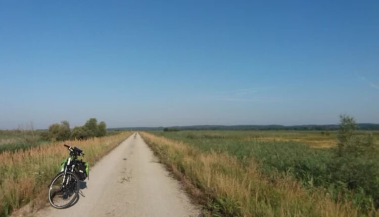 Koniec rowerowego sezonu w PNUW 9 fot. Park Narodowy Ujście Warty