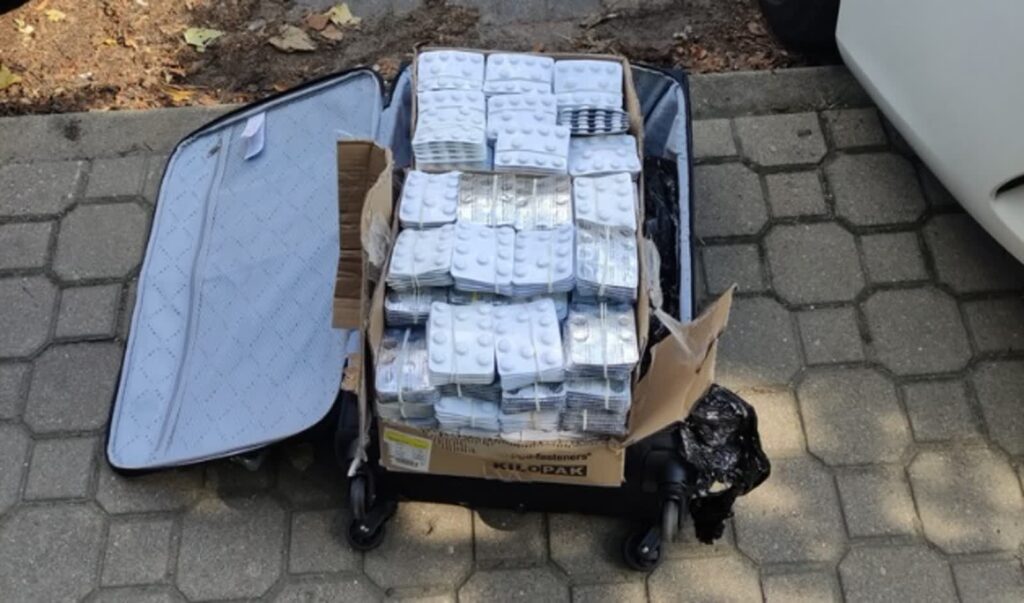 fot: materiały prasowe NOSG