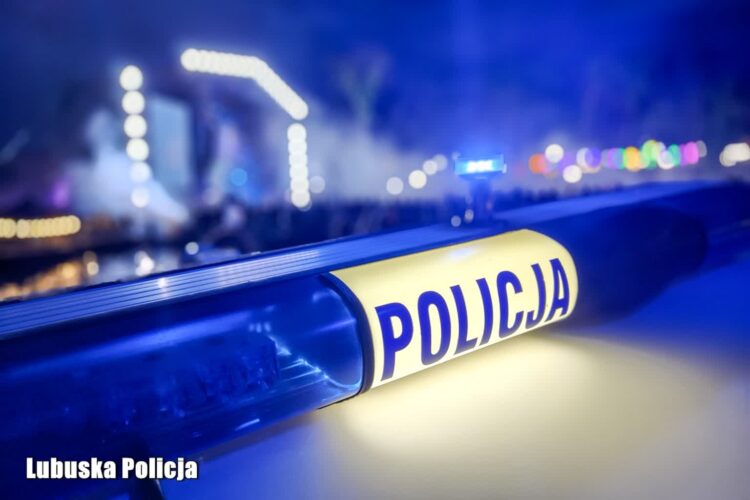 Policja - zdj. ilustracyjne (Lubuska Policja)
