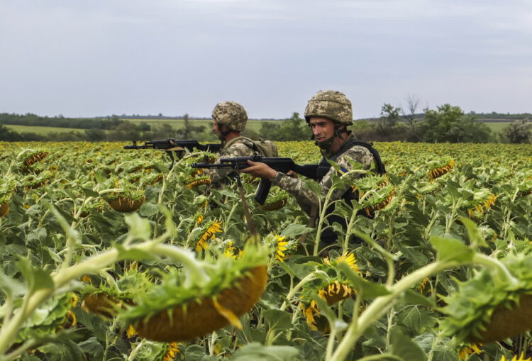 Rosja przebiła się w rejonie Dobropola. Dziś wizyta Zełenskiego w Berlinie 9 Ukraińscy żołnierze na polu słoneczników (PAP/EPA/UKRAINE'S 65TH MECHANIZED BRIGADE PRESS SERVICE HANDOUT)