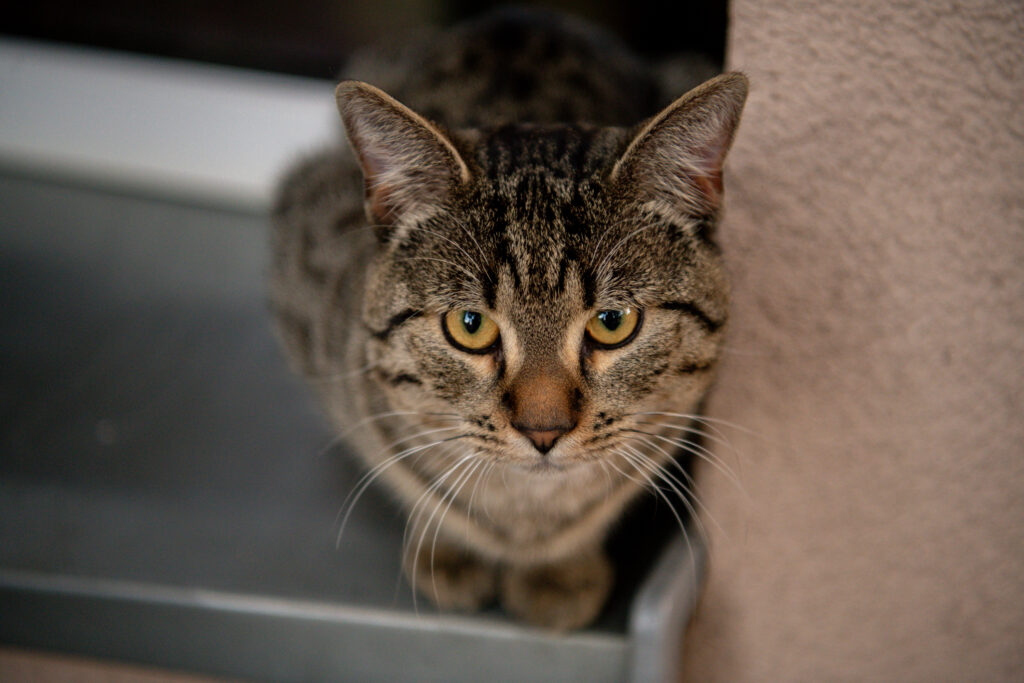 Katarzyna Figura z Mocnym Solaninem! [GALERIA ZDJĘĆ] Radio Zachód - Lubuskie