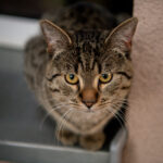 Katarzyna Figura z Mocnym Solaninem! [GALERIA ZDJĘĆ] Radio Zachód - Lubuskie