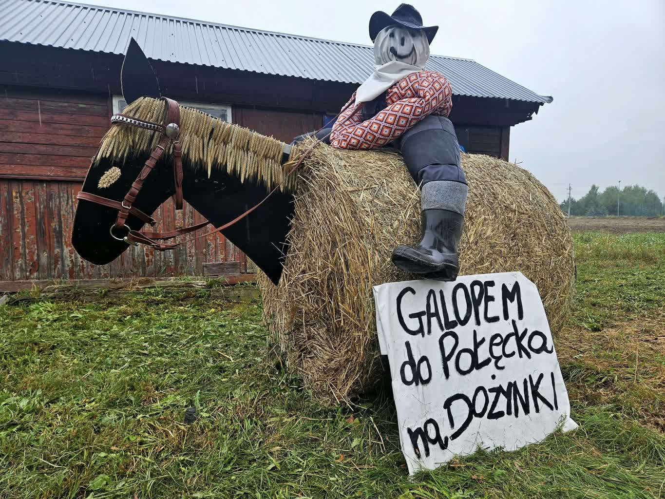 Krośnieńskie dożynki w Połęcku