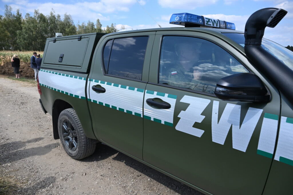 fot: PAP/Wojtek Jargiło