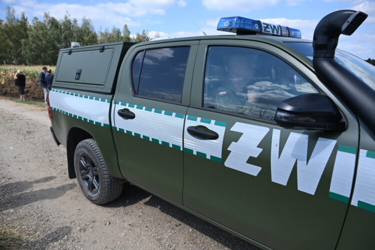 fot: PAP/Wojtek Jargiło