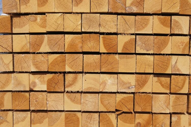 Wizja zero - nowa strategia Inspekcji Pracy 9 Fot. Pixabay