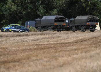 Służby zabiezpieczają teren pola kukurydzy w miejscowości Osiny. Fot. PAP/Wojtek Jargiło