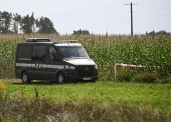 Służby w miejscowości Osiny Fot. PAP/Wojtek Jargiło