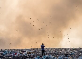 fot. pixabay zdjecie poglądowe