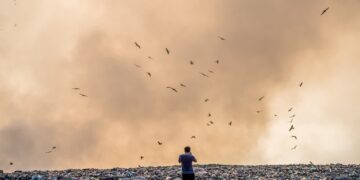 fot. pixabay zdjecie poglądowe