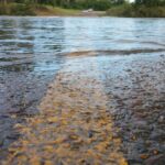 Zdjęcie ilustracyjne. Fot. Pixabay