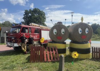 Dożynki powiatowo-gminne w Zaborze 14 Dożynki powiatowo-gminne w Zaborze Radio Zachód - Lubuskie