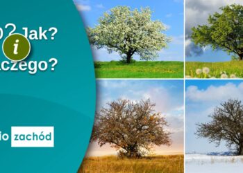 Atrakcje turystyczne lubuskiego Radio Zachód - Lubuskie