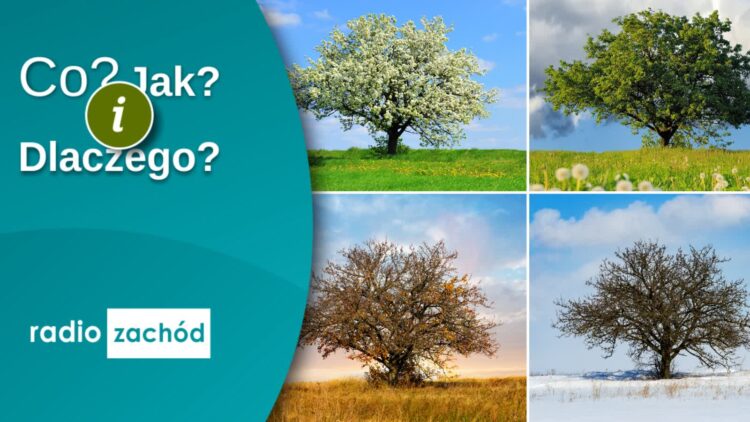 Atrakcje turystyczne lubuskiego 9 Atrakcje turystyczne lubuskiego Radio Zachód - Lubuskie