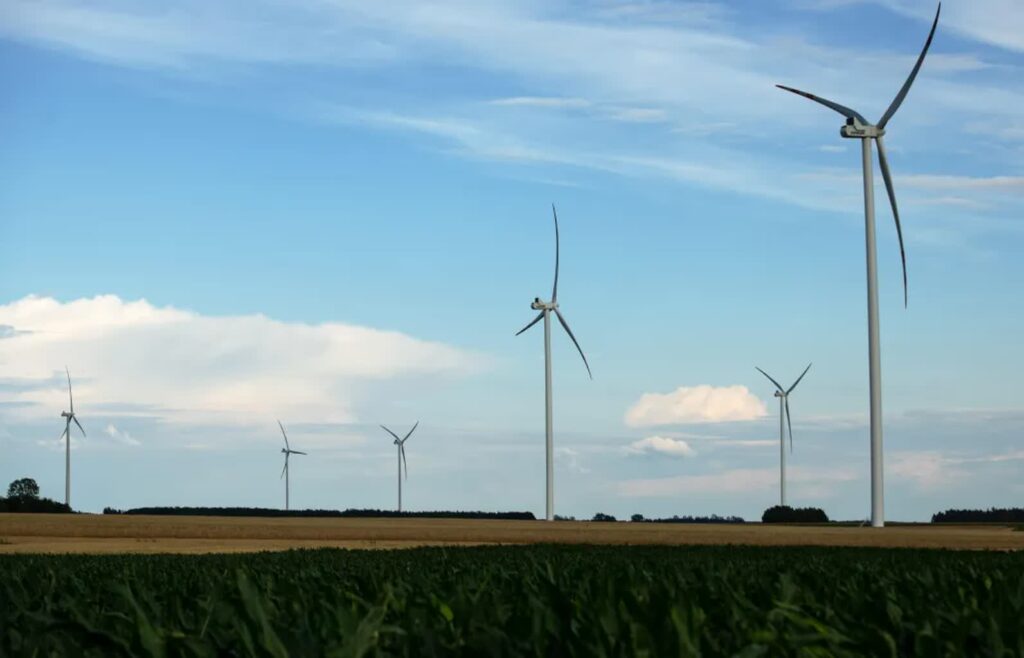 Turbiny wiatrowe na Farmie Wiatrowej (zdjęcie ilustracyjne). Fot. PAP/Michał Zieliński