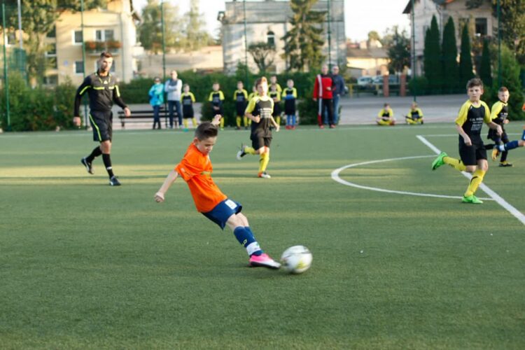 Orlik w Przytoku do naprawy 9 fot. UM Ciechocinek