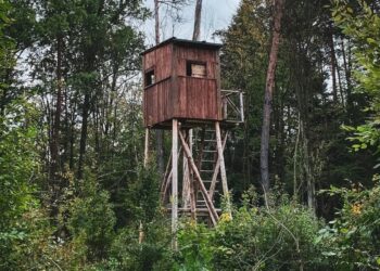 Zdjęcie ilustracyjne. Fot. Pixabay