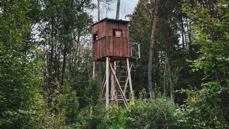 Zdjęcie ilustracyjne. Fot. Pixabay