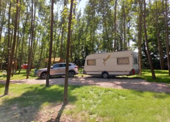 Fot.: Nadleśnictwo Torzym