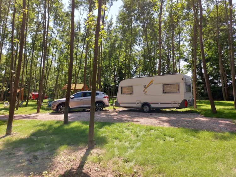 Duże zainteresowanie kamperowiskiem RDLP 9 Fot.: Nadleśnictwo Torzym