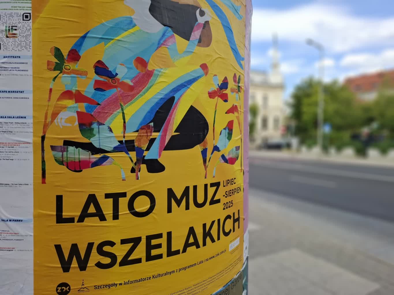 Lato Muz Wszelakich – tydzień 6 Radio Zachód - Lubuskie