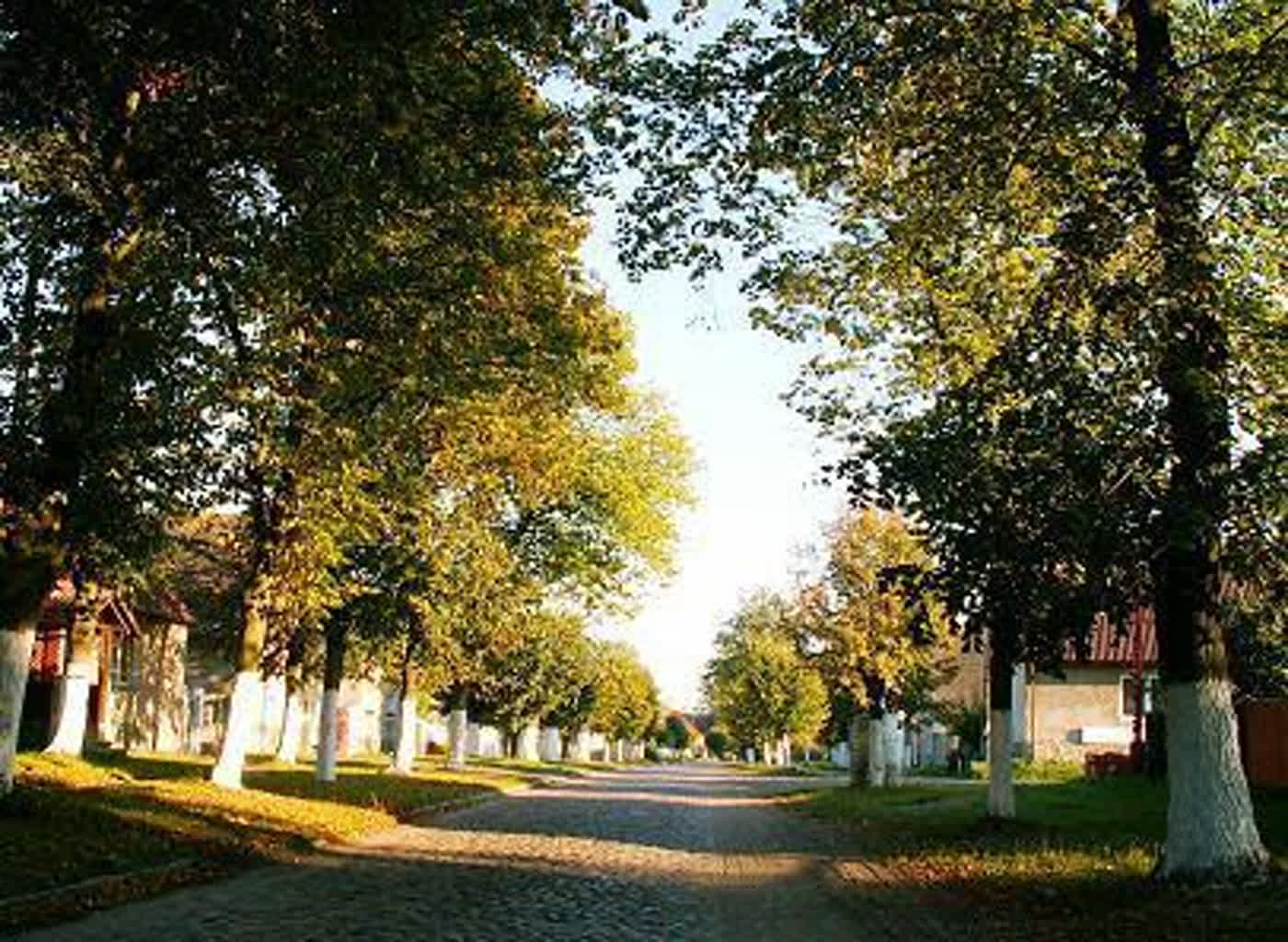 Gmina Gubin też za mostem w Połęcku