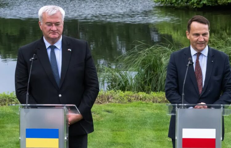 Radosław Sikorski (P) i Andrij Sybiha (L). Fot. PAP/Tytus Żmijewski