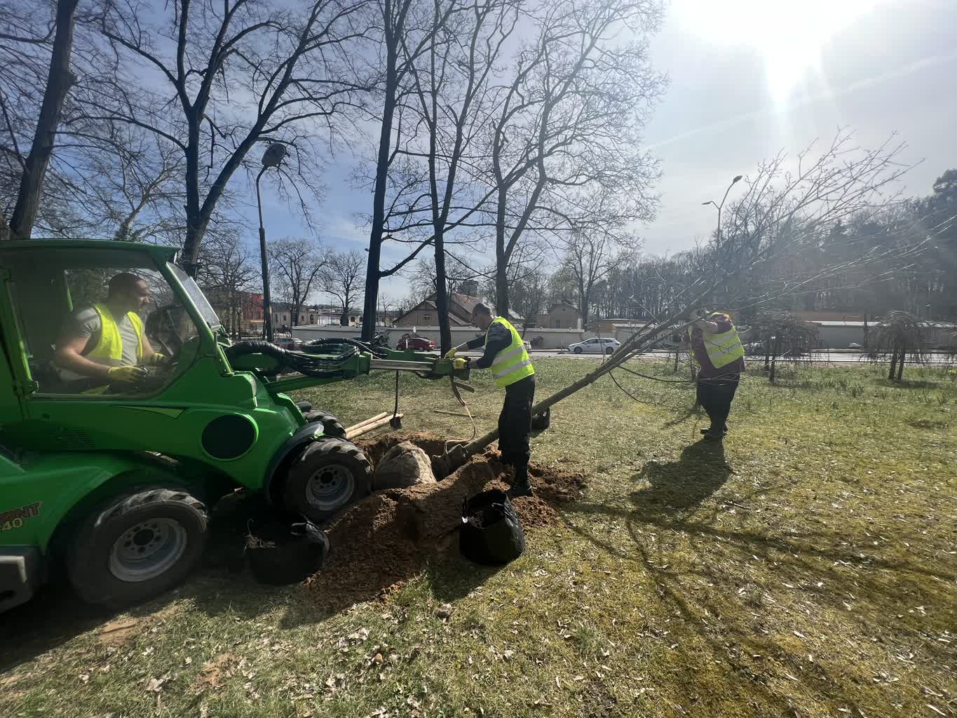 Posadzą drzewa i krzewy Radio Zachód - Lubuskie