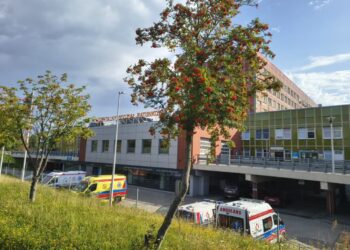 Wyjaśniają okoliczności tragicznego zdarzenia Radio Zachód - Lubuskie