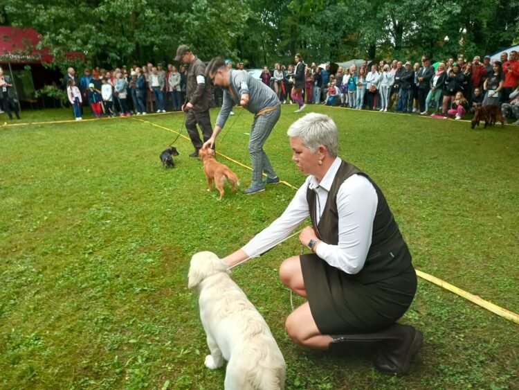 Iłowa zaprasza na Krajową Wystawę Psów Myśliwskich 9 fot. K.Gonera