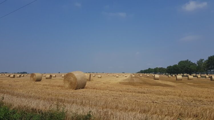 Trzciel i biometanownia 9 fot. UM Trzciel