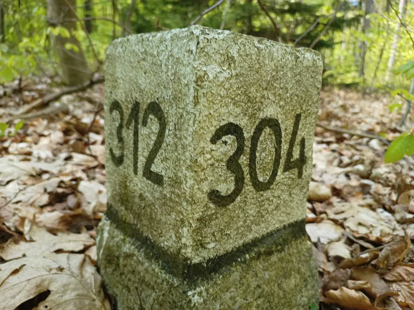 Betonowe słupki z numerami to leśne drogowskazy