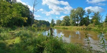 fot. M. Boryna (UM Szprotawa)